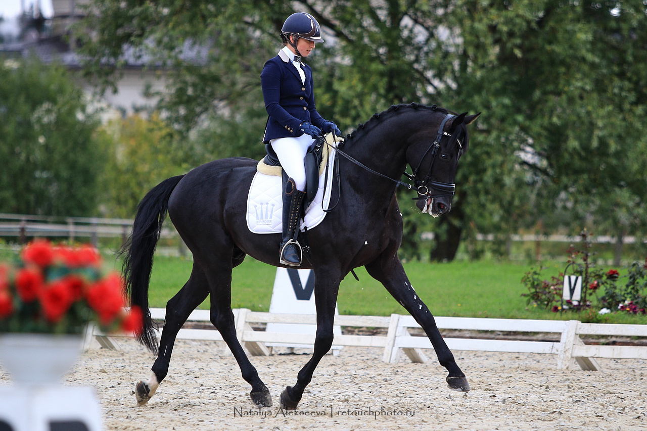 Всероссийский турнир по выездке, КСК Новый Век | 08'2019. Репортажный фотограф и ретушер в Москве Наталья Алексеева