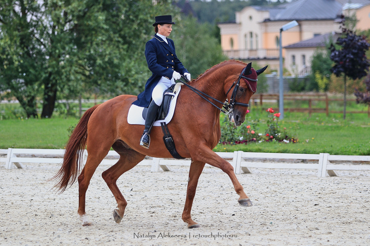 Всероссийский турнир по выездке, КСК Новый Век | 08'2019. Репортажный фотограф и ретушер в Москве Наталья Алексеева