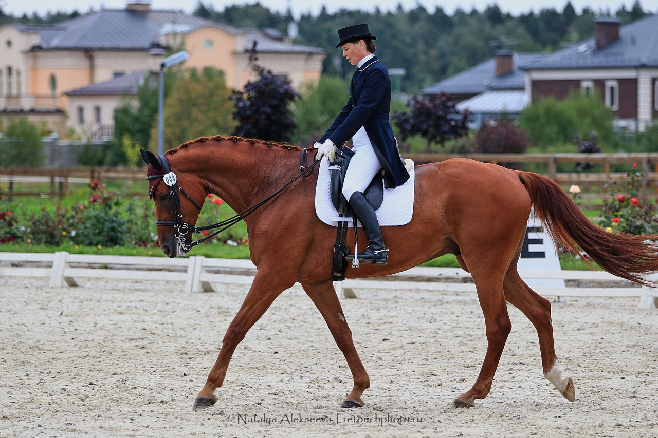 Всероссийский турнир по выездке, КСК Новый Век | 08'2019. Репортажный фотограф и ретушер в Москве Наталья Алексеева