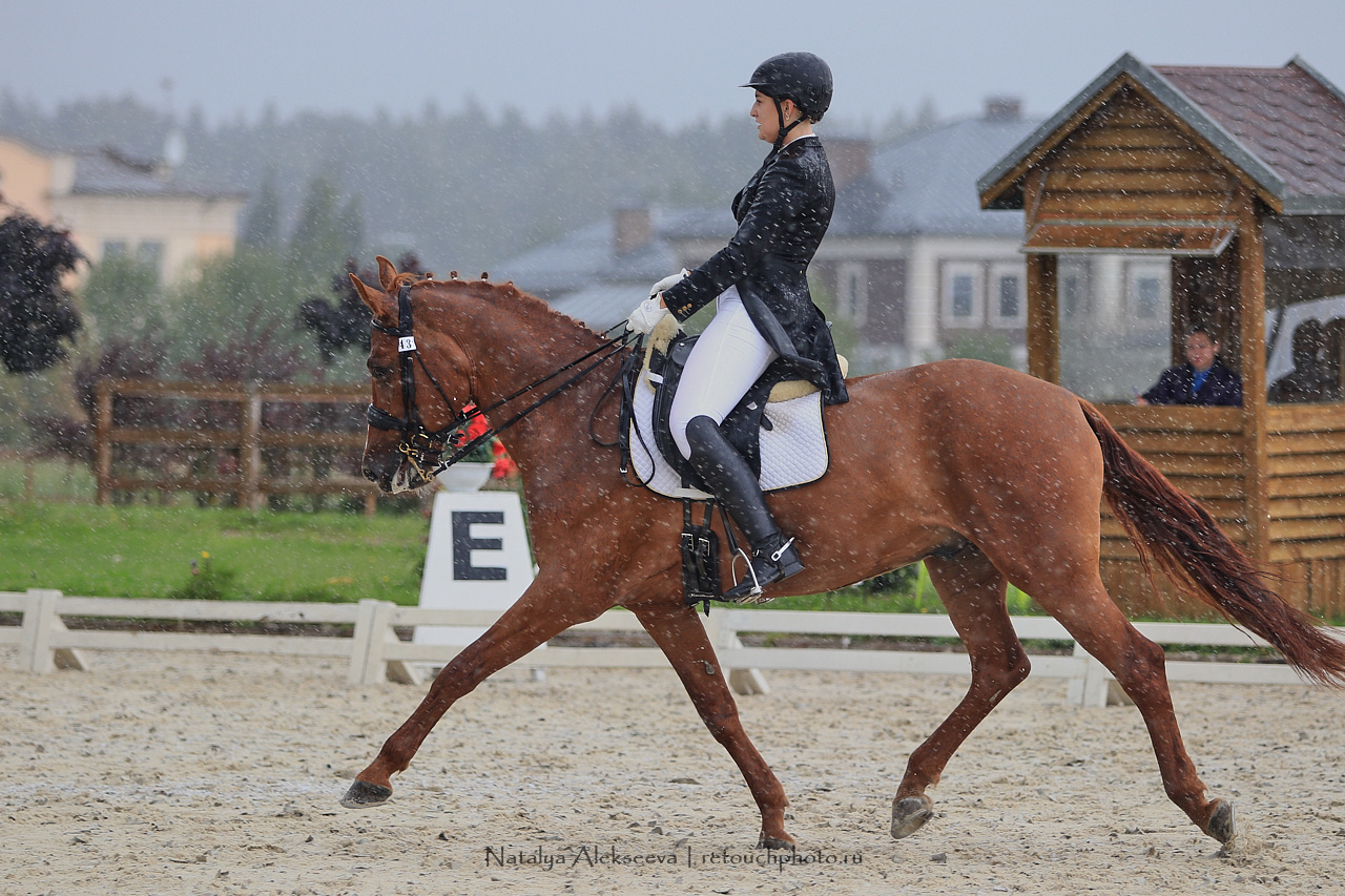 Всероссийский турнир по выездке, КСК Новый Век | 08'2019. Репортажный фотограф и ретушер в Москве Наталья Алексеева