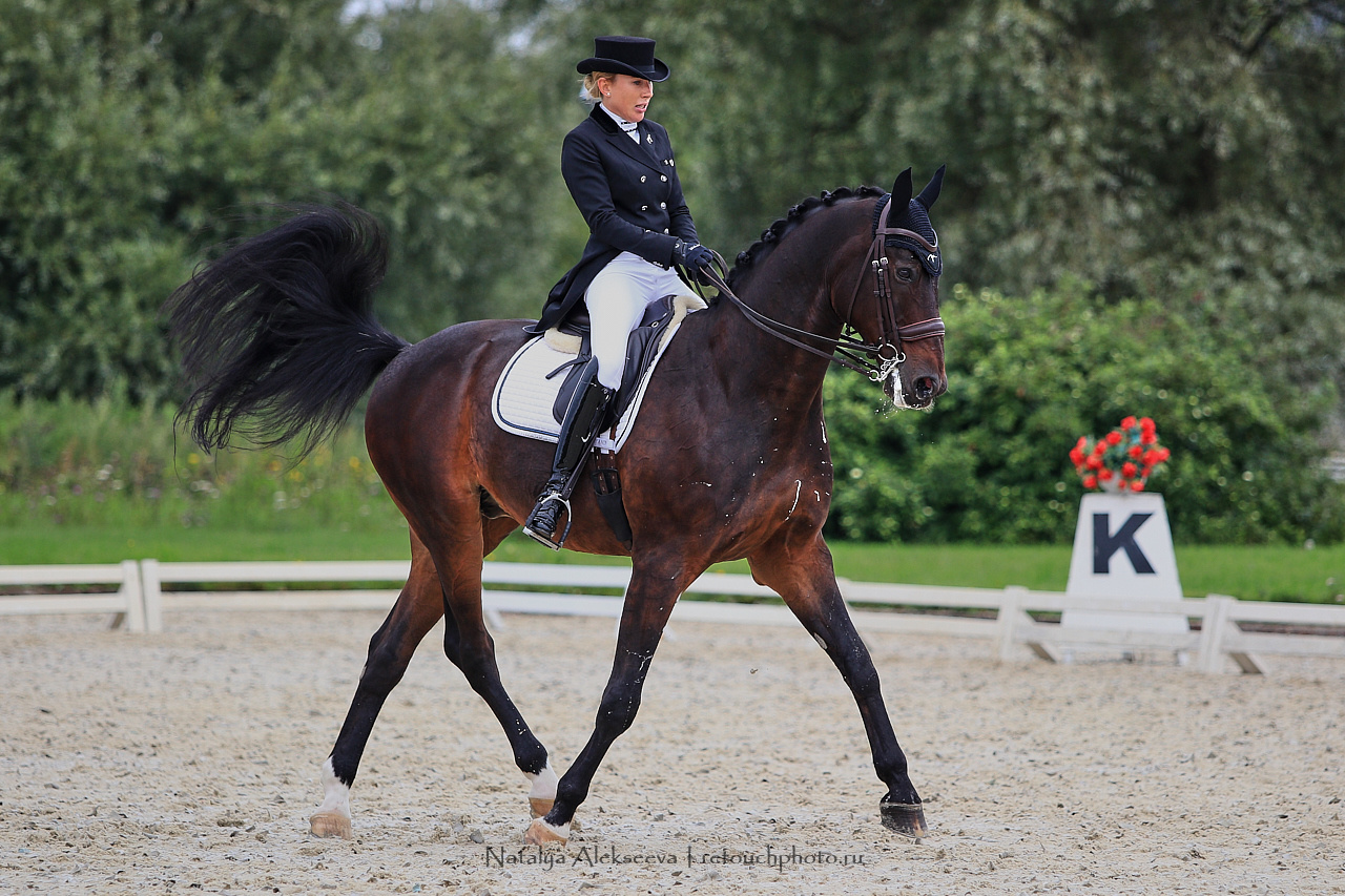 Всероссийский турнир по выездке, КСК Новый Век | 08'2019. Репортажный фотограф и ретушер в Москве Наталья Алексеева
