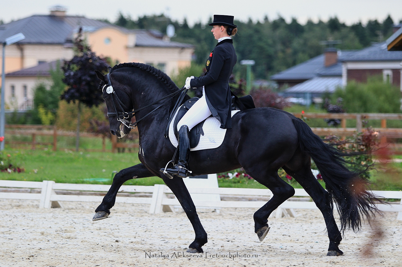 Всероссийский турнир по выездке, КСК Новый Век | 08'2019. Репортажный фотограф и ретушер в Москве Наталья Алексеева