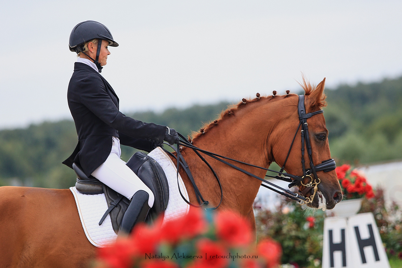 Всероссийский турнир по выездке, КСК Новый Век | 08'2019. Репортажный фотограф и ретушер в Москве Наталья Алексеева