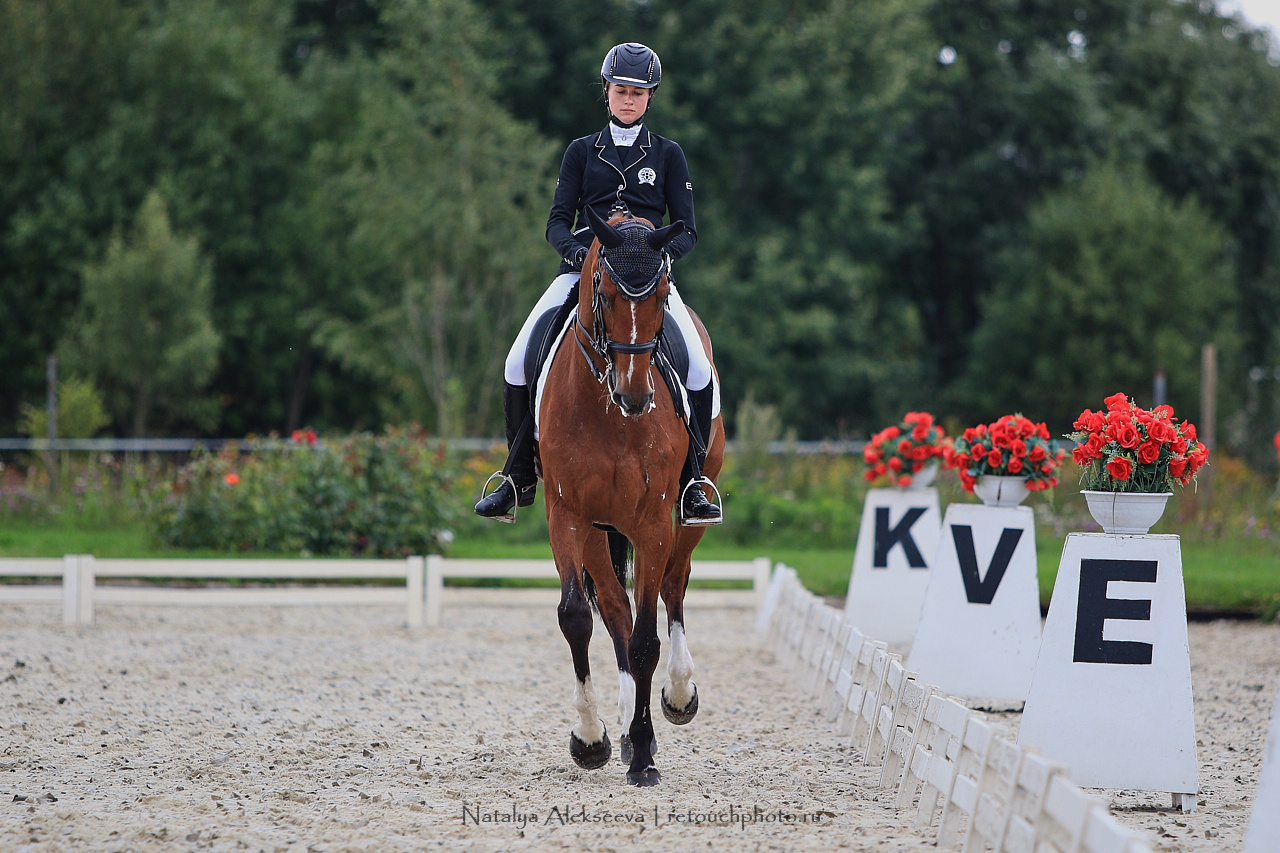 Всероссийский турнир по выездке, КСК Новый Век | 08'2019. Репортажный фотограф и ретушер в Москве Наталья Алексеева