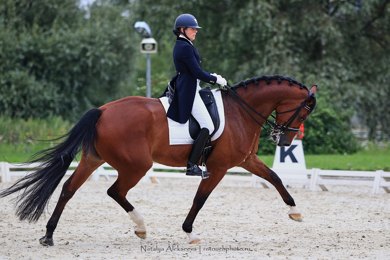 Всероссийский турнир по выездке, КСК Новый Век | 08'2019. Репортажный фотограф и ретушер в Москве Наталья Алексеева