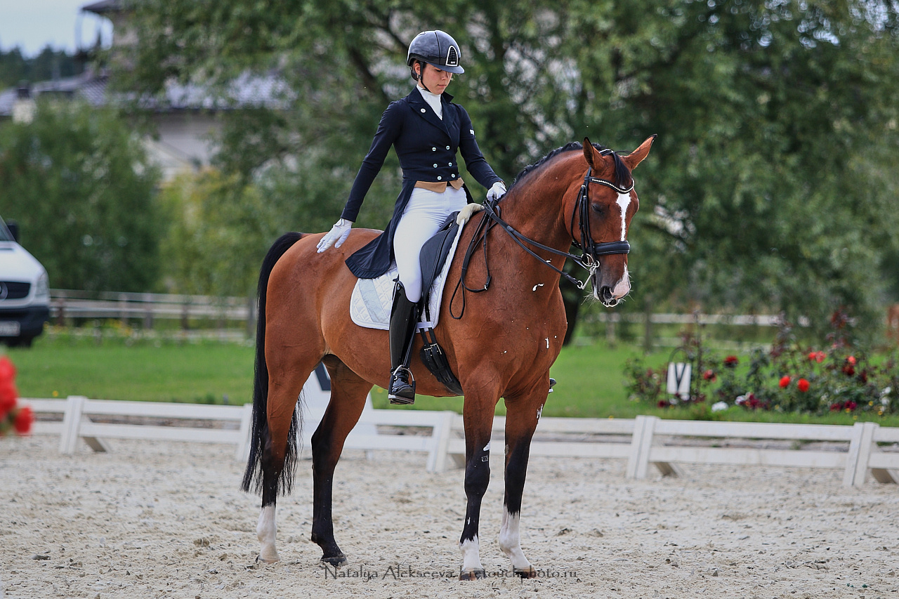 Всероссийский турнир по выездке, КСК Новый Век | 08'2019. Репортажный фотограф и ретушер в Москве Наталья Алексеева