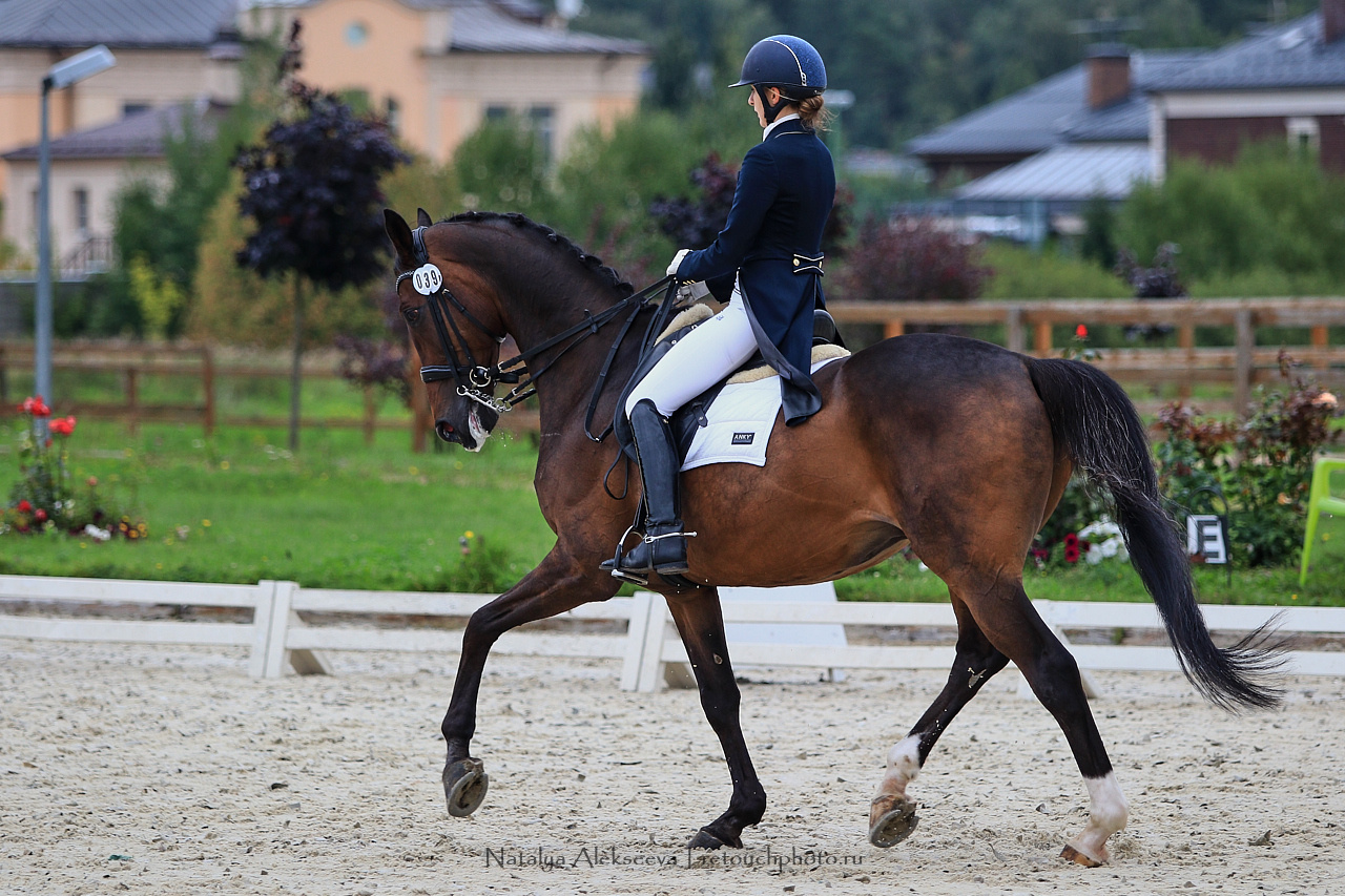 Всероссийский турнир по выездке, КСК Новый Век | 08'2019. Репортажный фотограф и ретушер в Москве Наталья Алексеева