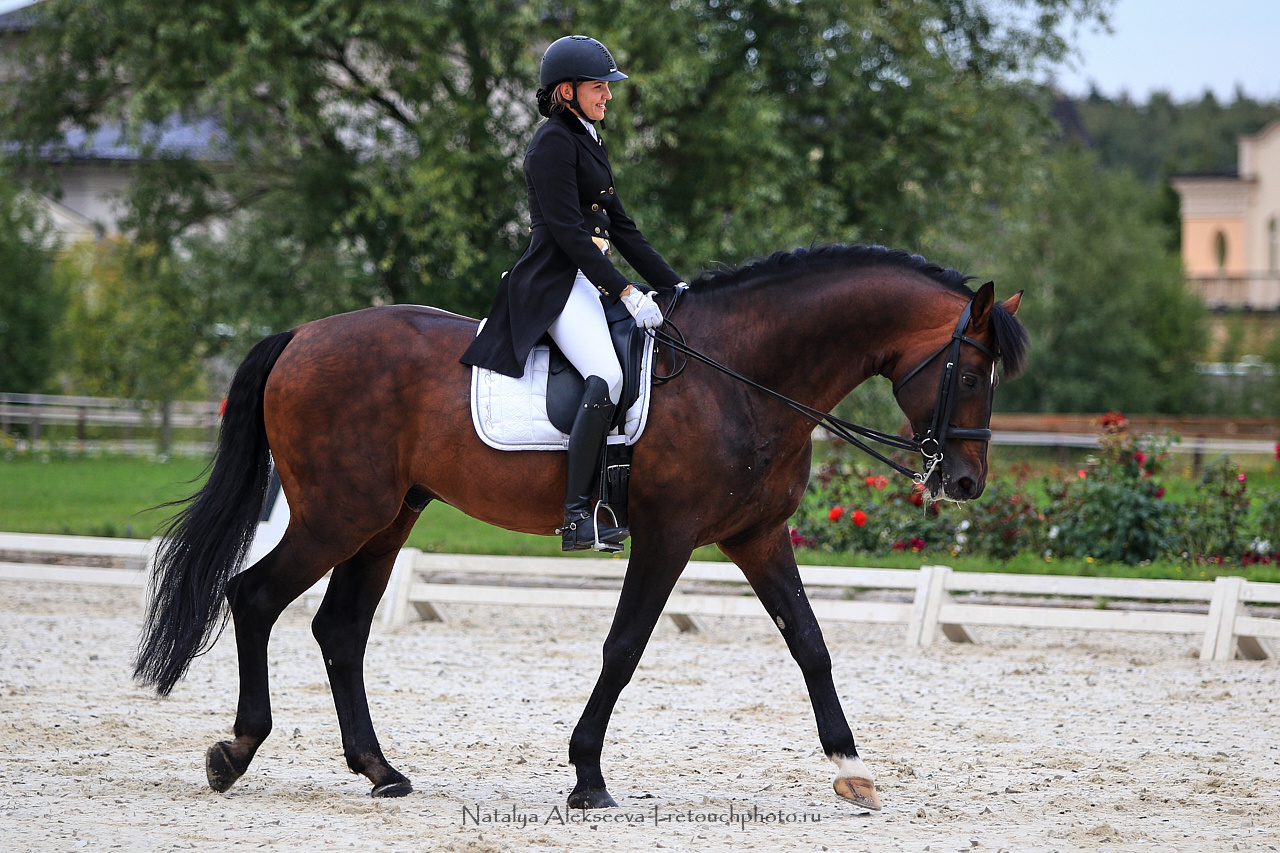Всероссийский турнир по выездке, КСК Новый Век | 08'2019. Репортажный фотограф и ретушер в Москве Наталья Алексеева