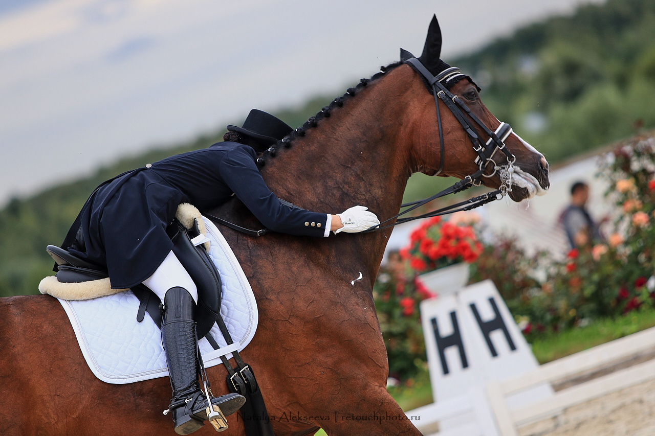 Всероссийский турнир по выездке, КСК Новый Век | 08'2019. Репортажный фотограф и ретушер в Москве Наталья Алексеева