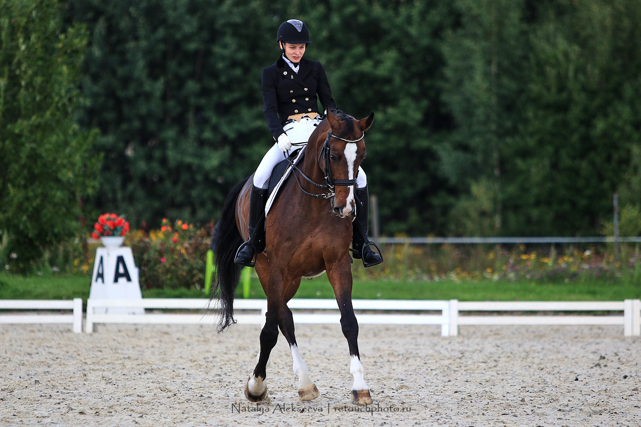 Всероссийский турнир по выездке, КСК Новый Век | 08'2019. Репортажный фотограф и ретушер в Москве Наталья Алексеева