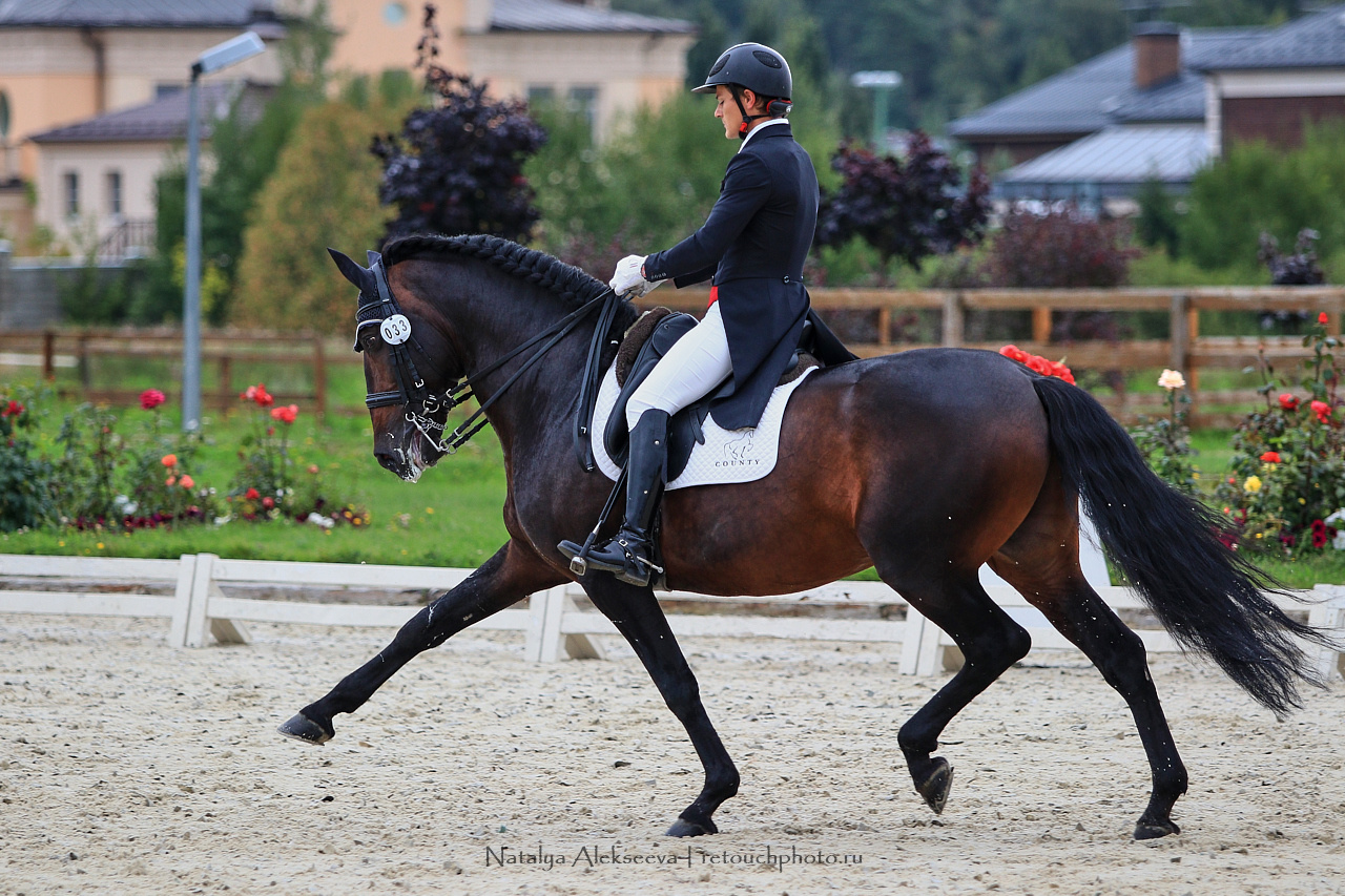 Всероссийский турнир по выездке, КСК Новый Век | 08'2019. Репортажный фотограф и ретушер в Москве Наталья Алексеева