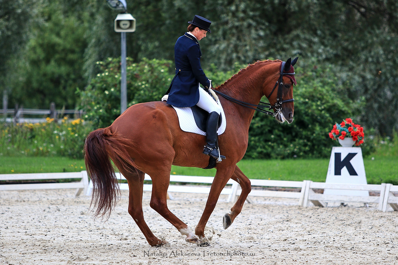 Всероссийский турнир по выездке, КСК Новый Век | 08'2019. Репортажный фотограф и ретушер в Москве Наталья Алексеева