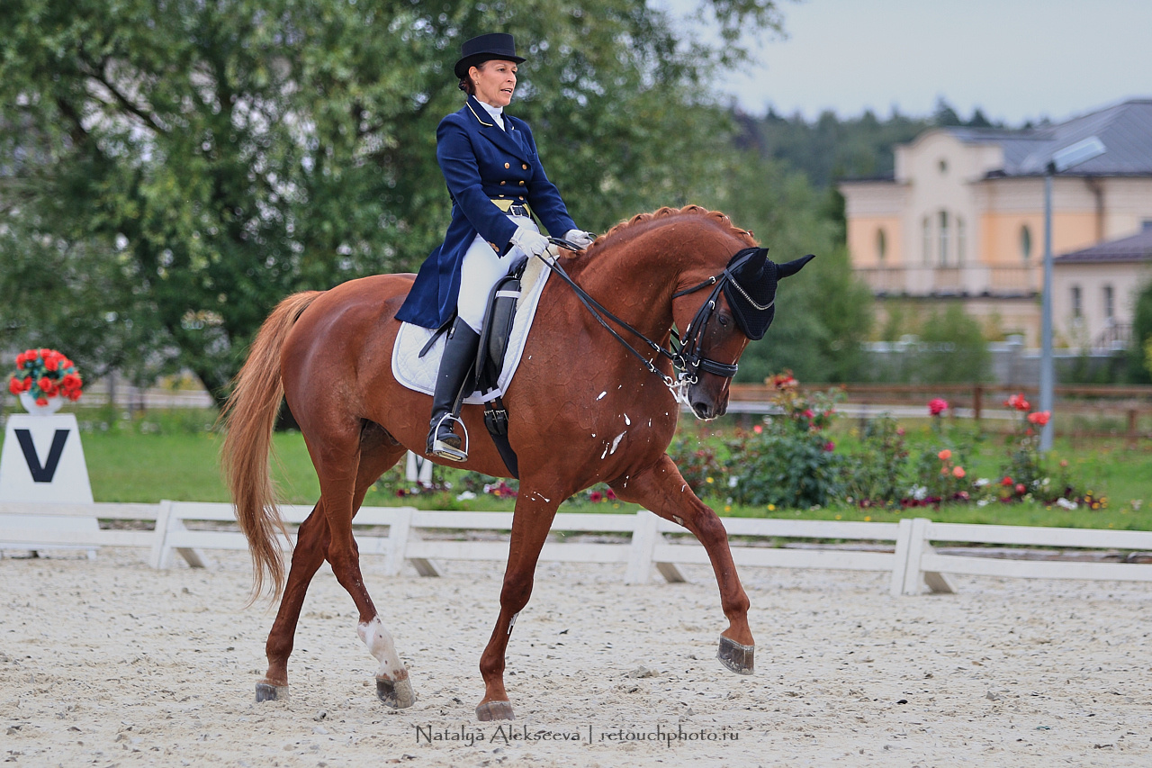 Всероссийский турнир по выездке, КСК Новый Век | 08'2019. Репортажный фотограф и ретушер в Москве Наталья Алексеева