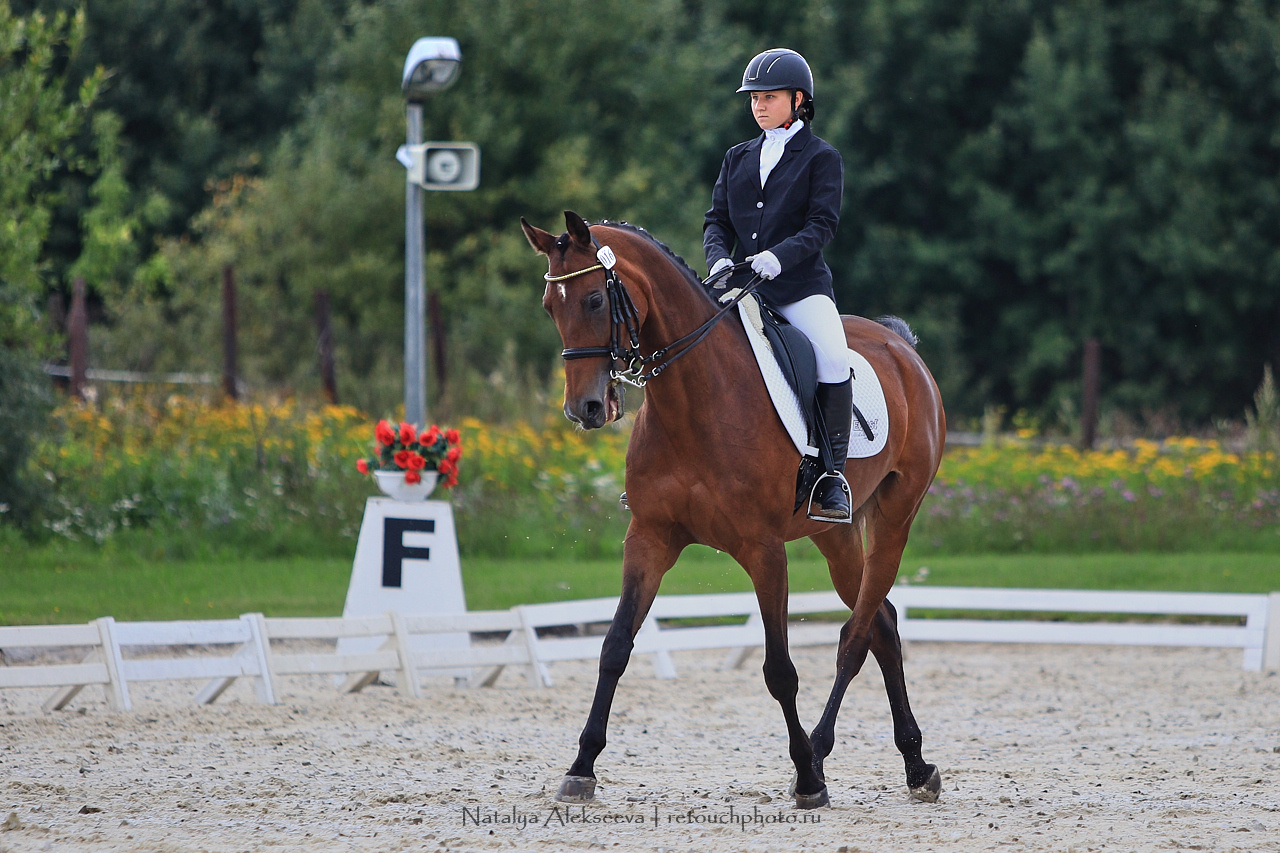 Всероссийский турнир по выездке, КСК Новый Век | 08'2019. Репортажный фотограф и ретушер в Москве Наталья Алексеева