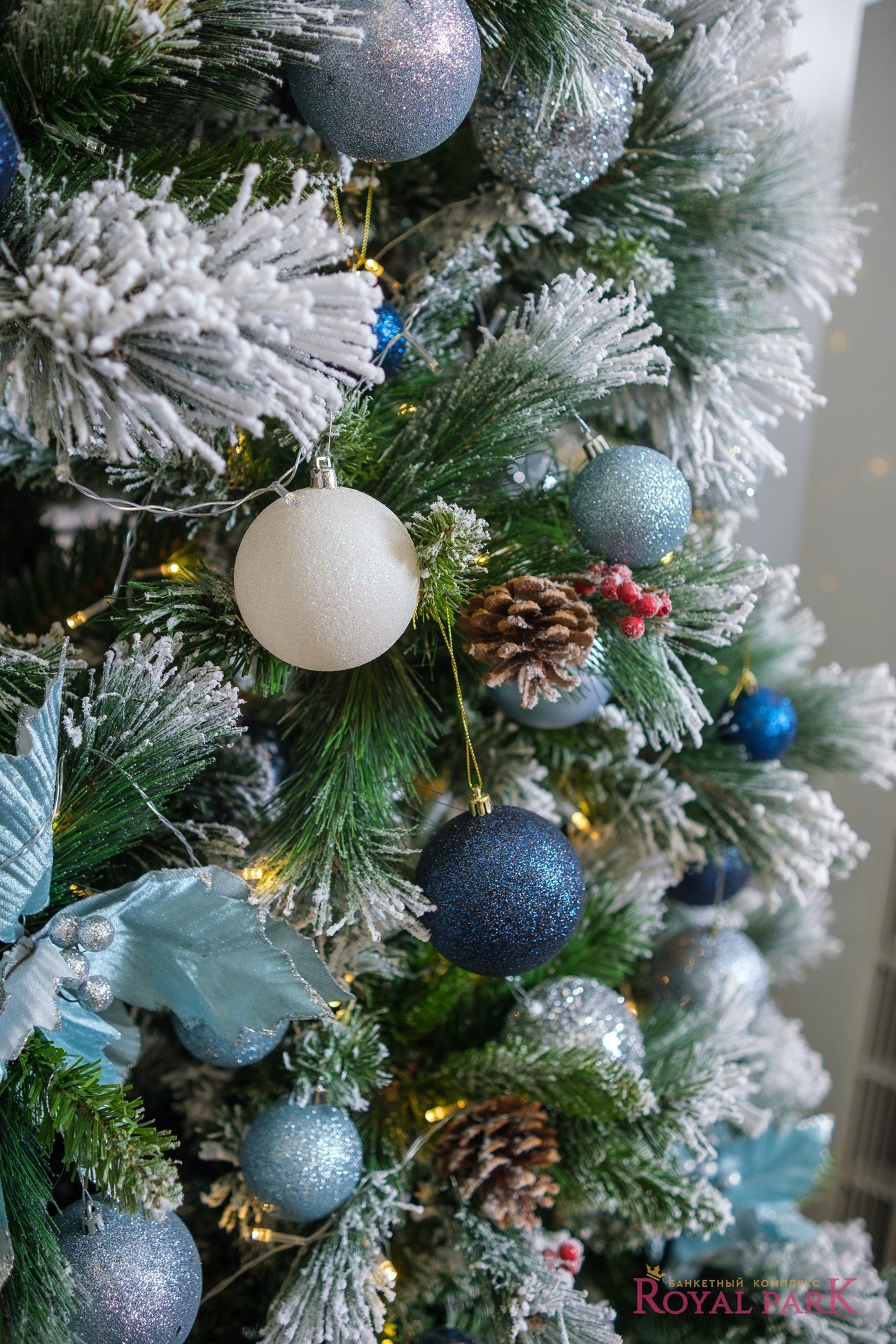 Отзывы. Свадебный и семейный фотограф Барнаул Рубцовск Бийск Алтайский край
