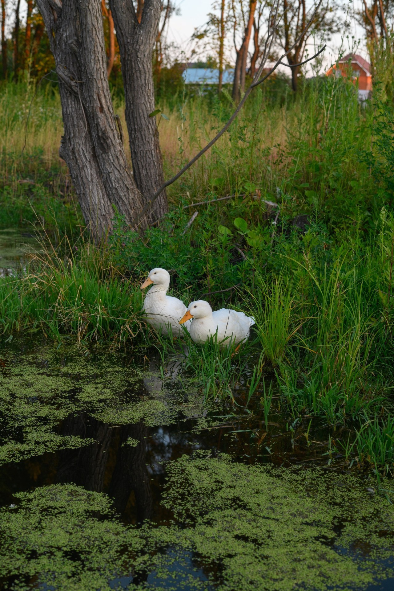 Отзывы. Фотограф Nati Gorbunova