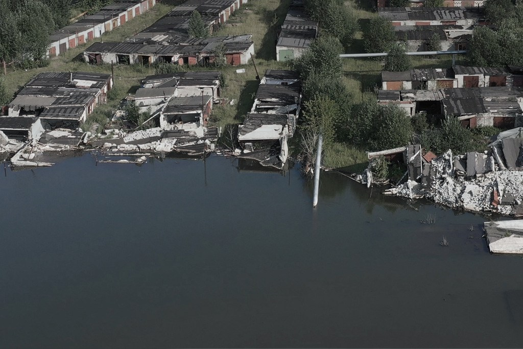 The city of white birches. Vita Stroganova