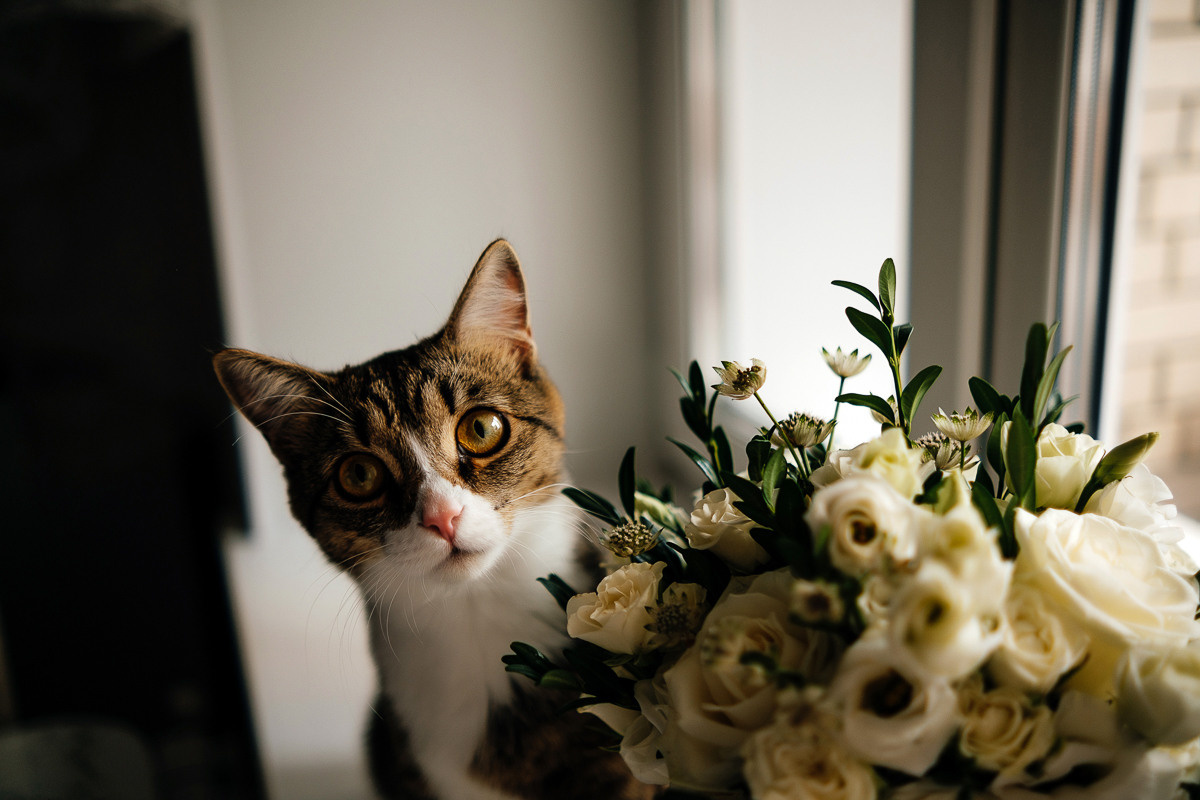 Дима_Арина_23_07_22. Свадебный и семейный фотограф Барнаул Рубцовск Бийск Алтайский край