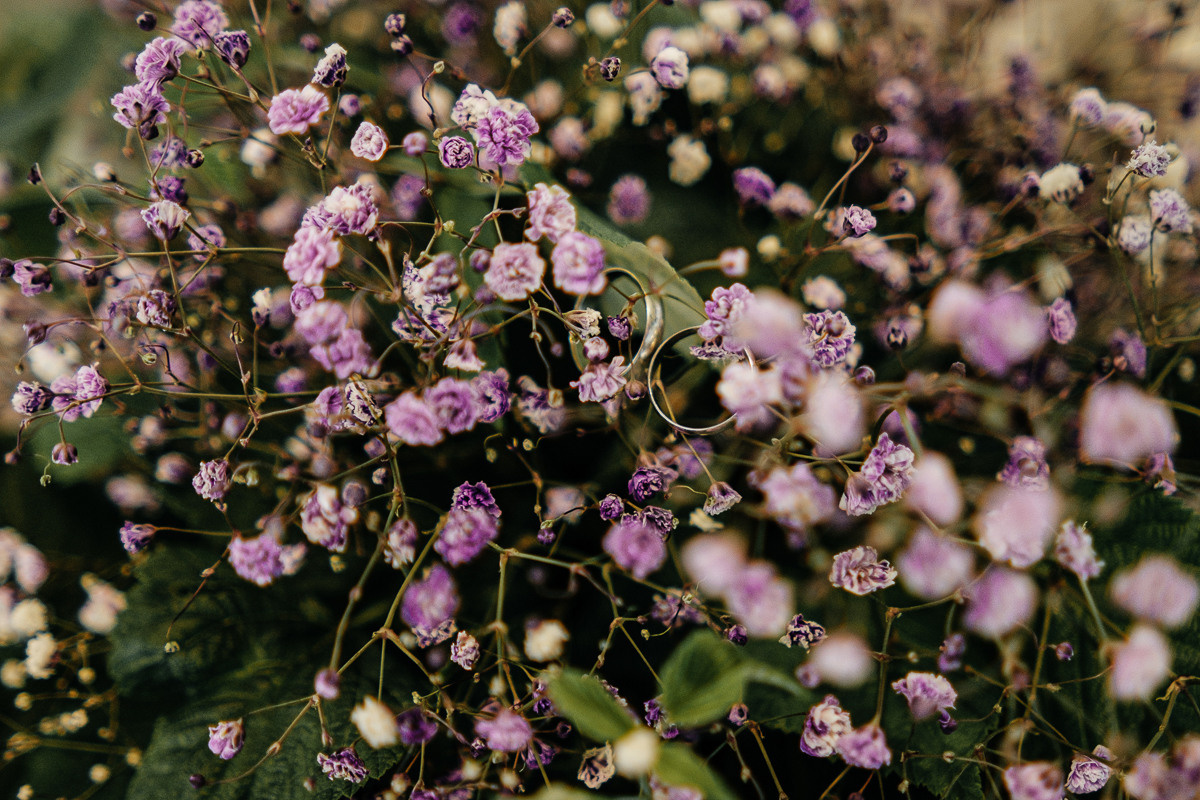 Дима_Арина_23_07_22. Свадебный и семейный фотограф Барнаул Рубцовск Бийск Алтайский край