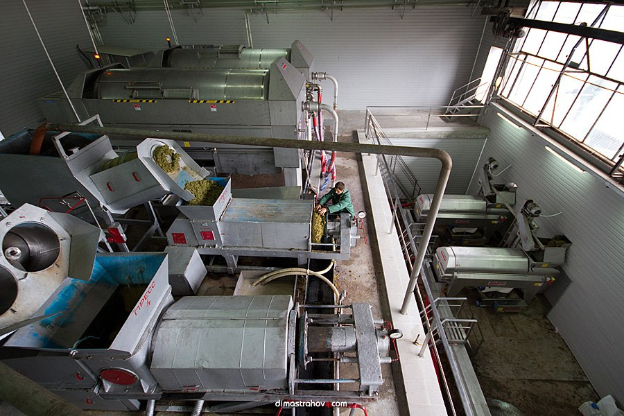 Винзавод Качинский +. Свадебный фотограф, фотосъемка в Крыму, Севастополе, Симферополе, Ялте