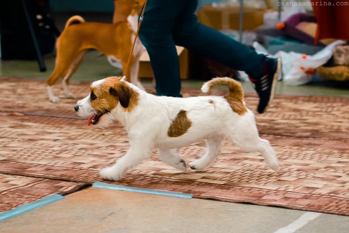 Port Fortis Rock-N-Roll