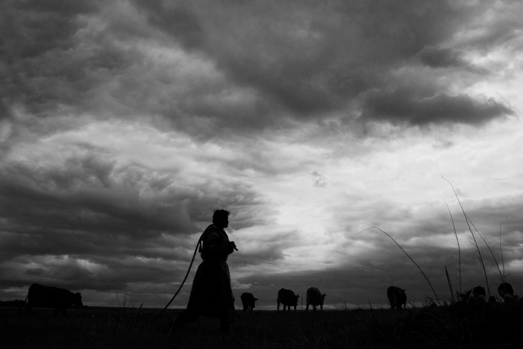 2017— Гран-при. Фотообъединение Самарского областного отделения Союза журналистов России