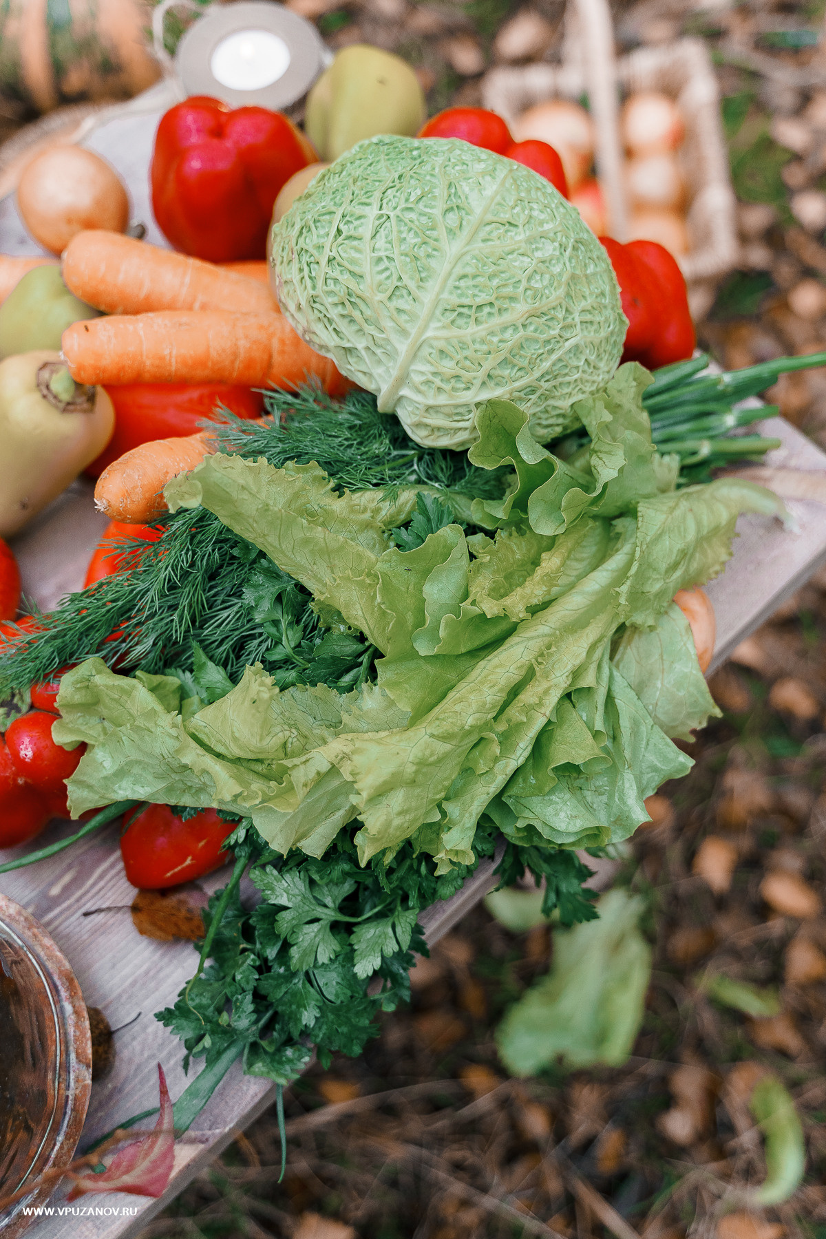 Свадебная фотосъемка, свадьба, свадебный фотограф, фотограф видеограф