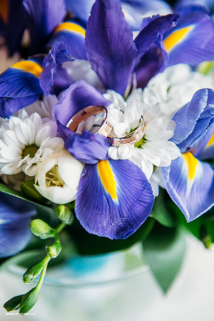 Свадебная фотосъемка, видео, свадебный фотограф, фотограф видеограф