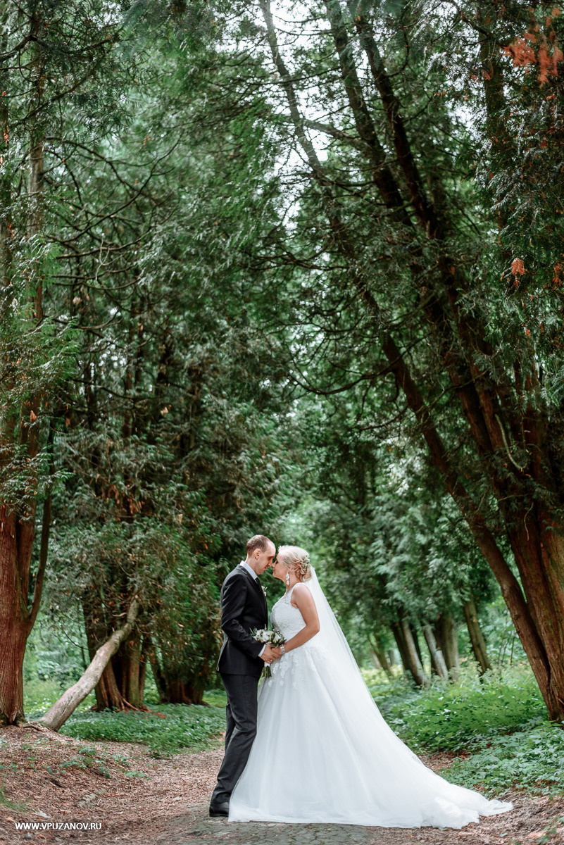Свадебная фотосъемка, видео, свадебный фотограф, фотограф видеограф