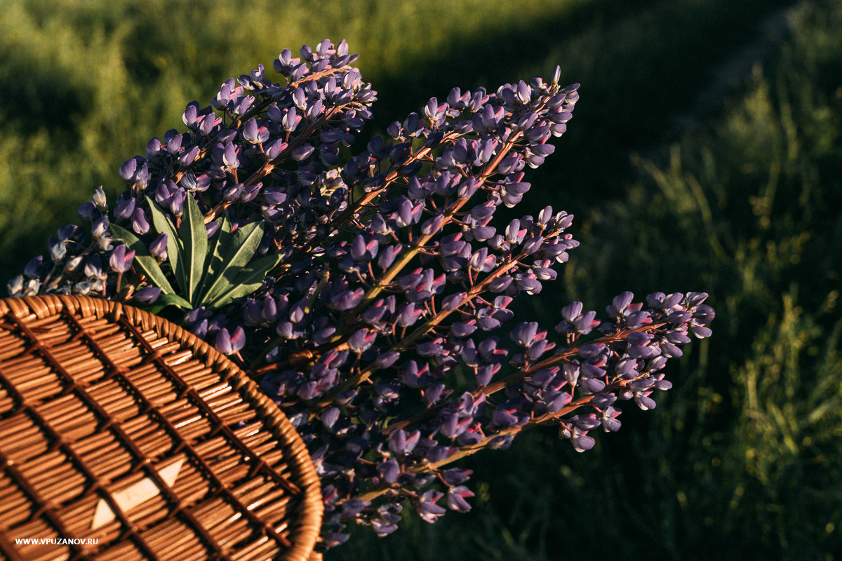 Свадебная фотосъемка, свадьба, свадебный фотограф, фотограф видеограф