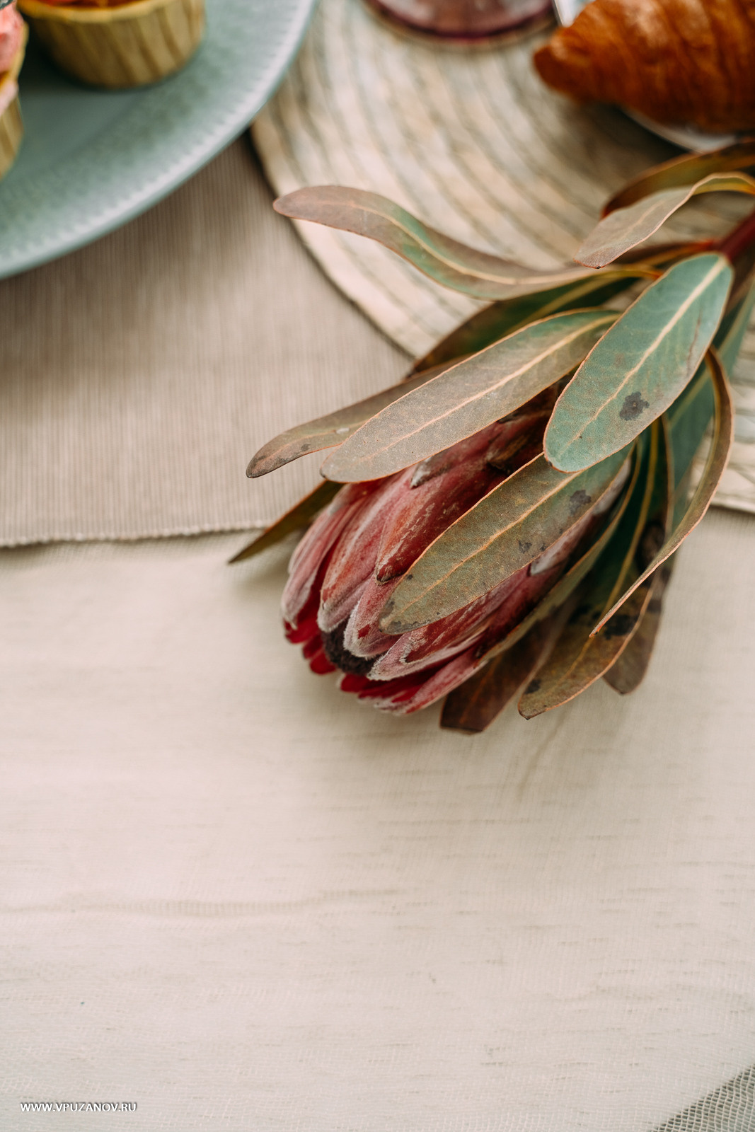 Свадебная фотосъемка, видео, свадебный фотограф, фотограф видеограф