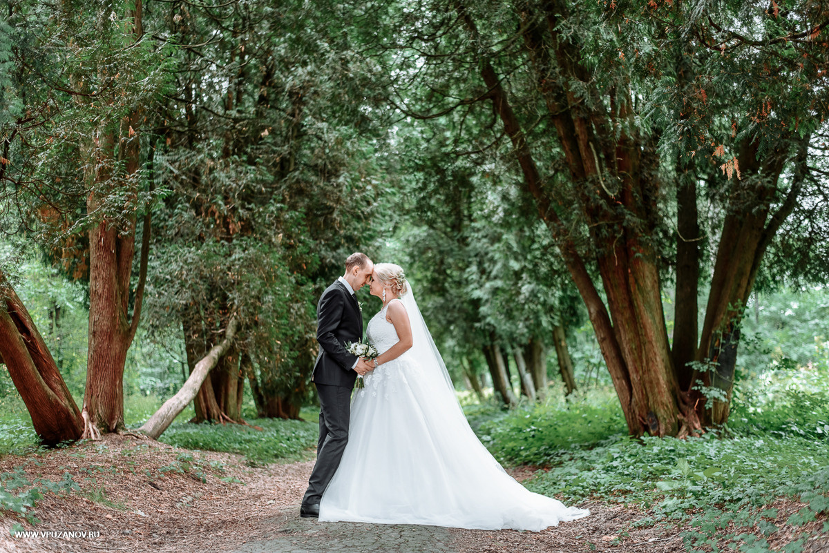 Свадебная фотосъемка, видео, свадебный фотограф, фотограф видеограф