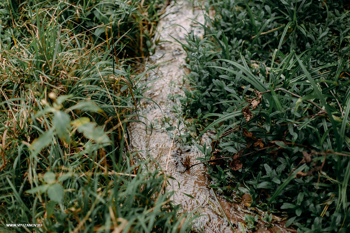 Свадебная фотосъемка, видео, свадебный фотограф, фотограф видеограф