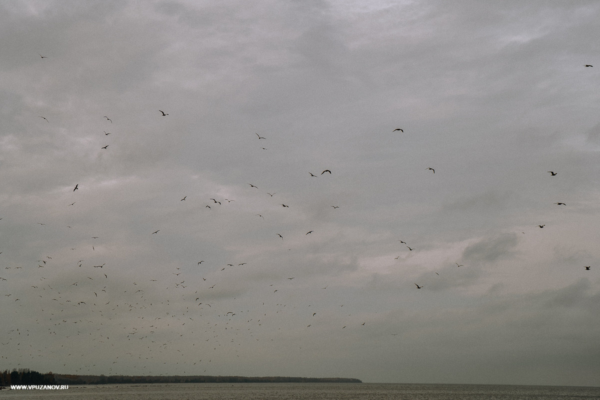 Свадебная фотосъемка, свадьба, свадебный фотограф, фотограф видеограф