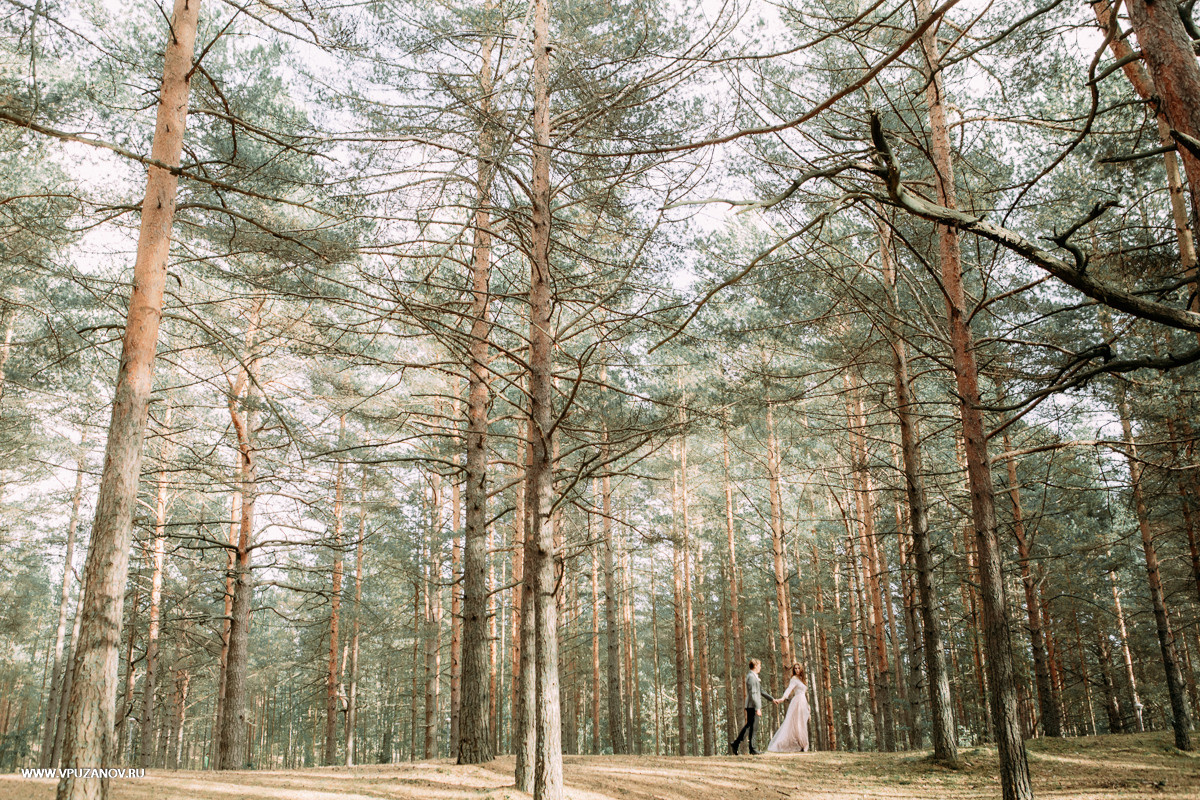 Свадебная фотосъемка, видео, свадебный фотограф, фотограф видеограф