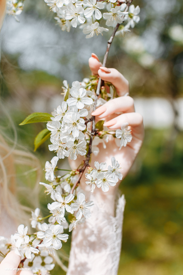 Свадебная фотосъемка, видео, свадебный фотограф, фотограф видеограф