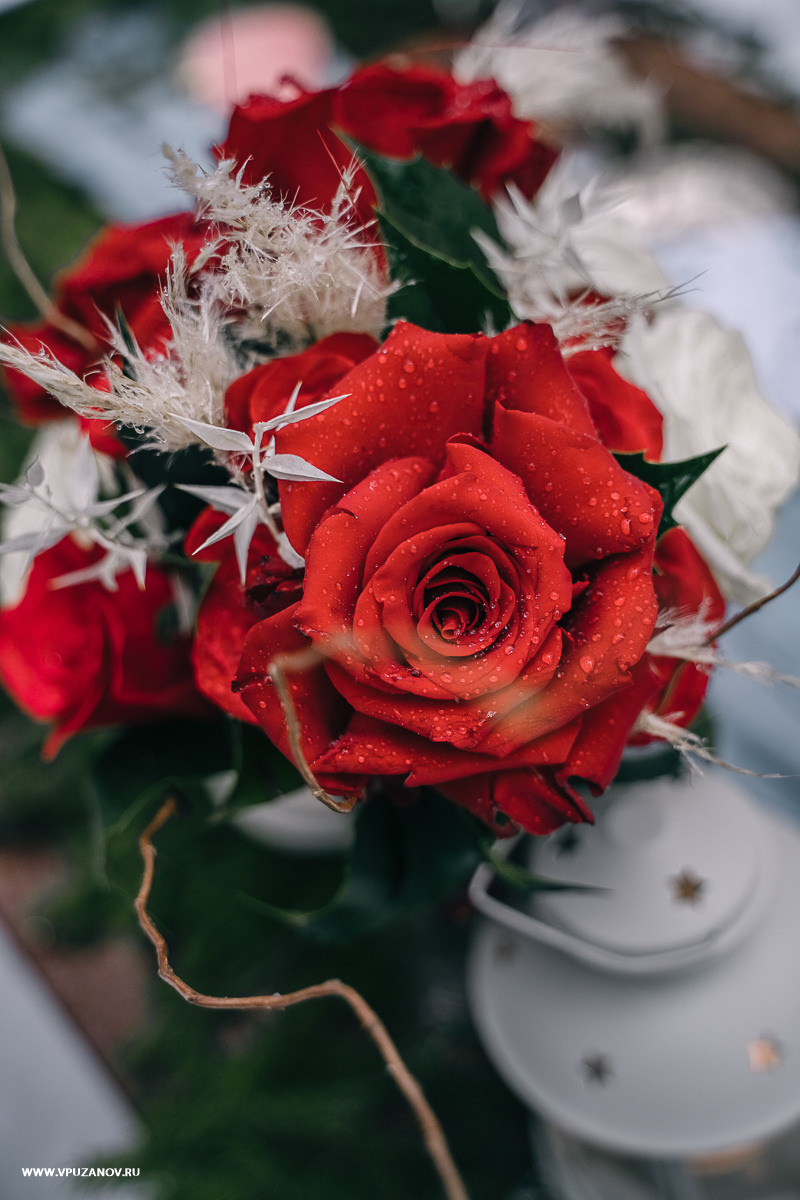 Свадебная фотосъемка, свадьба, свадебный фотограф, фотограф видеограф