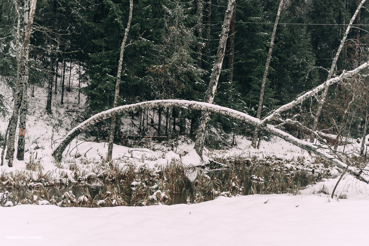 Свадебная фотосъемка, свадьба, свадебный фотограф, фотограф видеограф