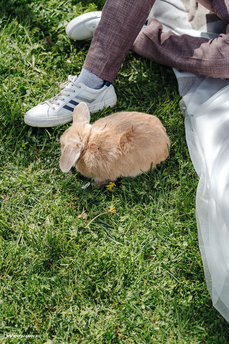 Свадебная фотосъемка, свадьба, свадебный фотограф, фотограф видеограф