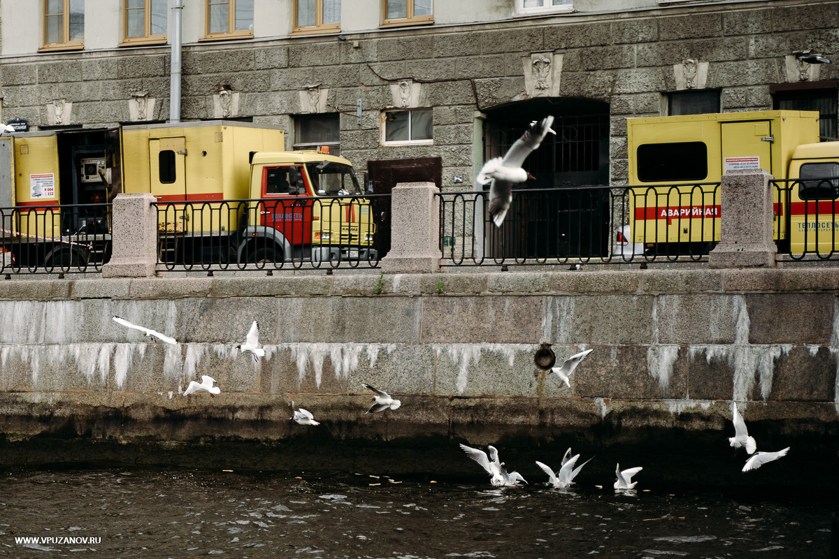 Свадебная фотосъемка, свадьба, свадебный фотограф, фотограф видеограф