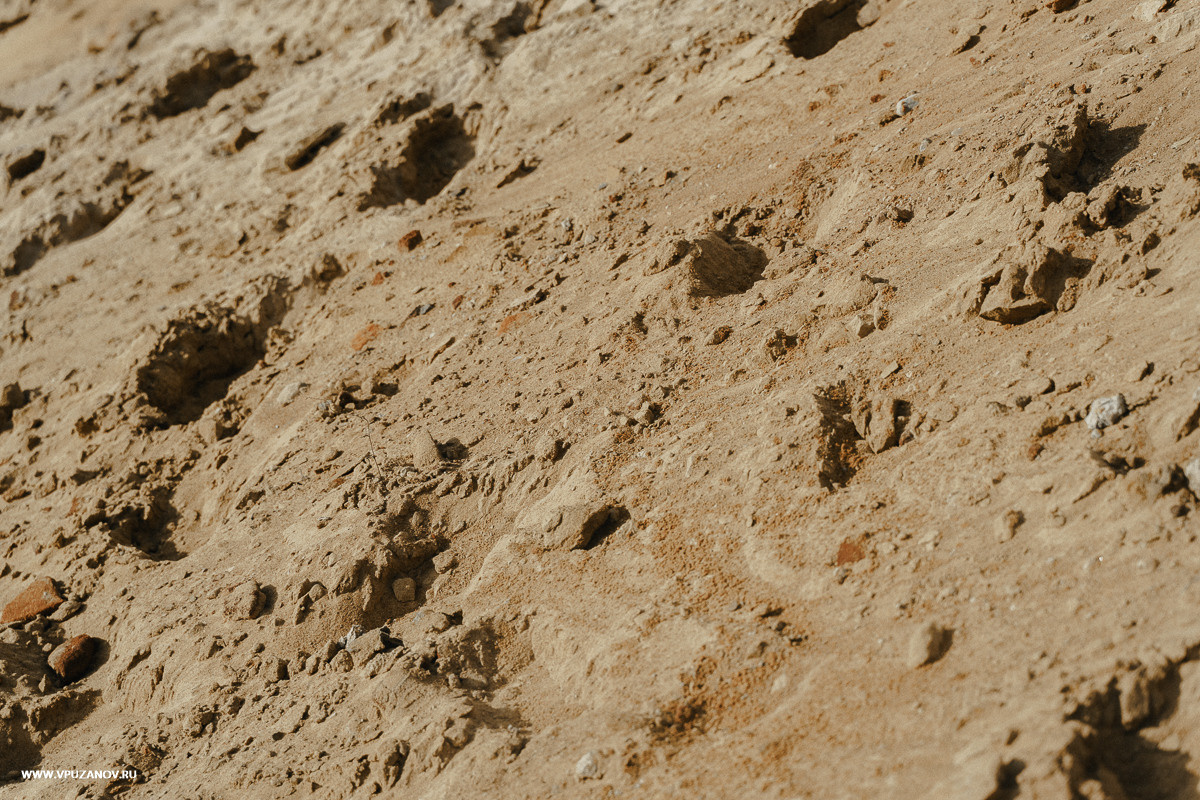 Свадебная фотосъемка, видео, свадебный фотограф, фотограф видеограф