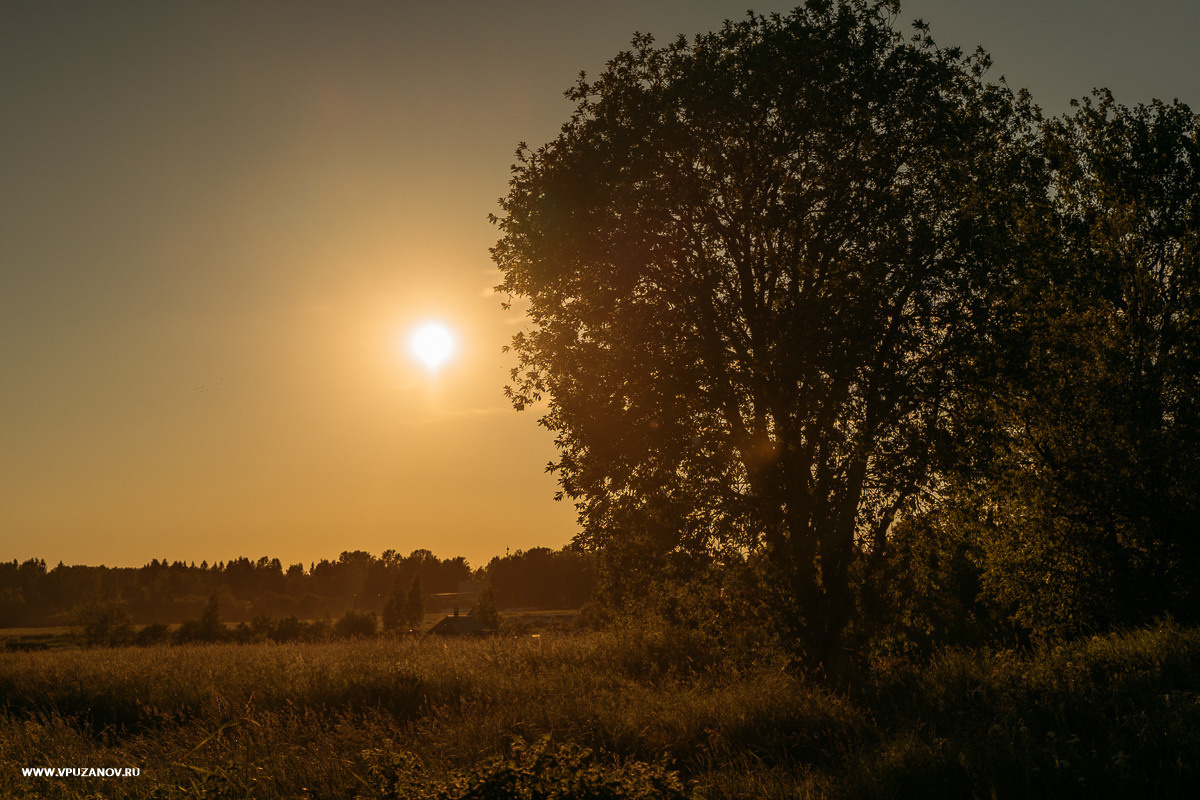 Свадебная фотосъемка, свадьба, свадебный фотограф, фотограф видеограф