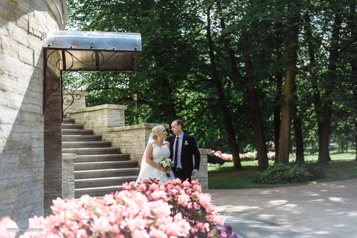 Свадебная фотосъемка, видео, свадебный фотограф, фотограф видеограф