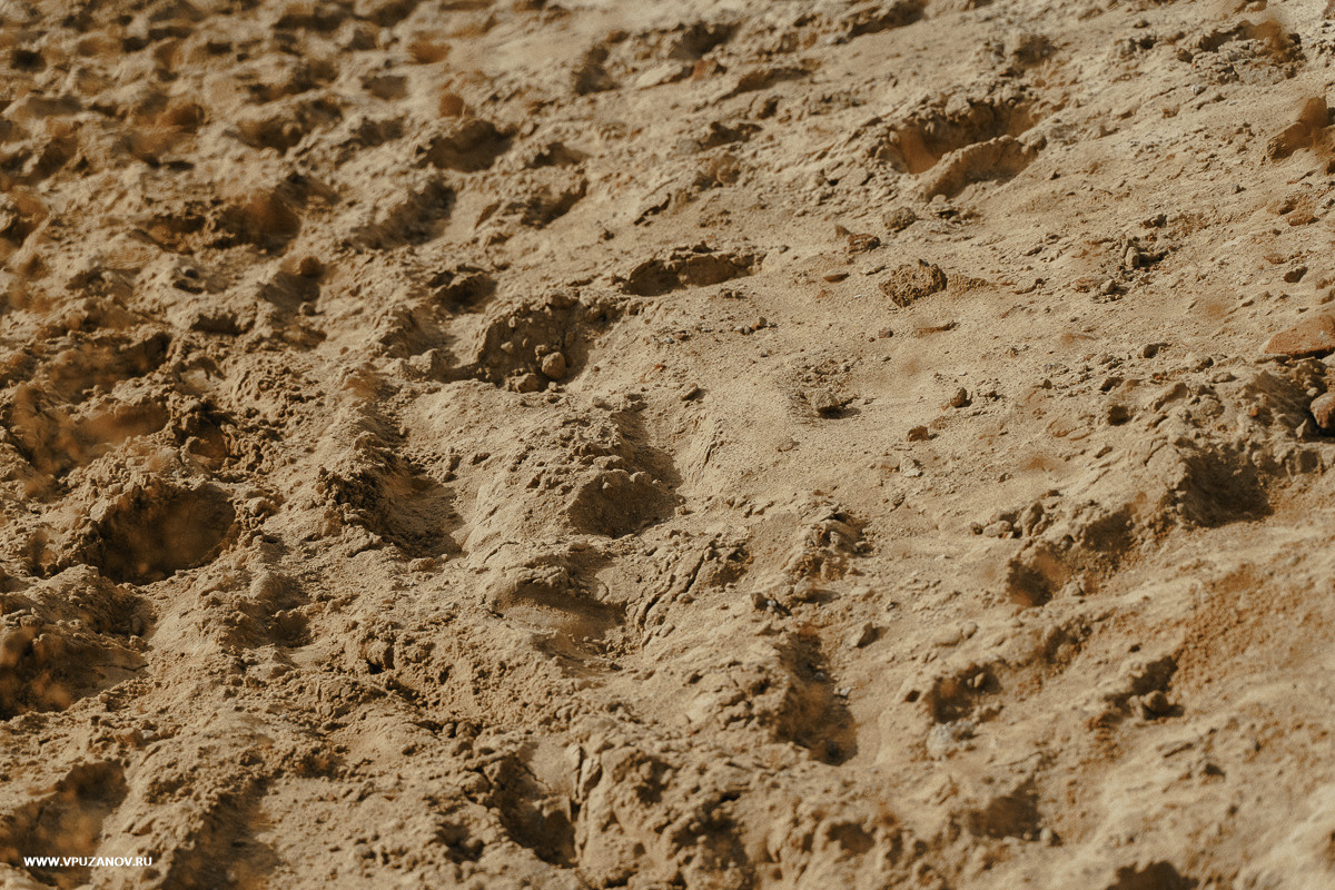 Свадебная фотосъемка, видео, свадебный фотограф, фотограф видеограф