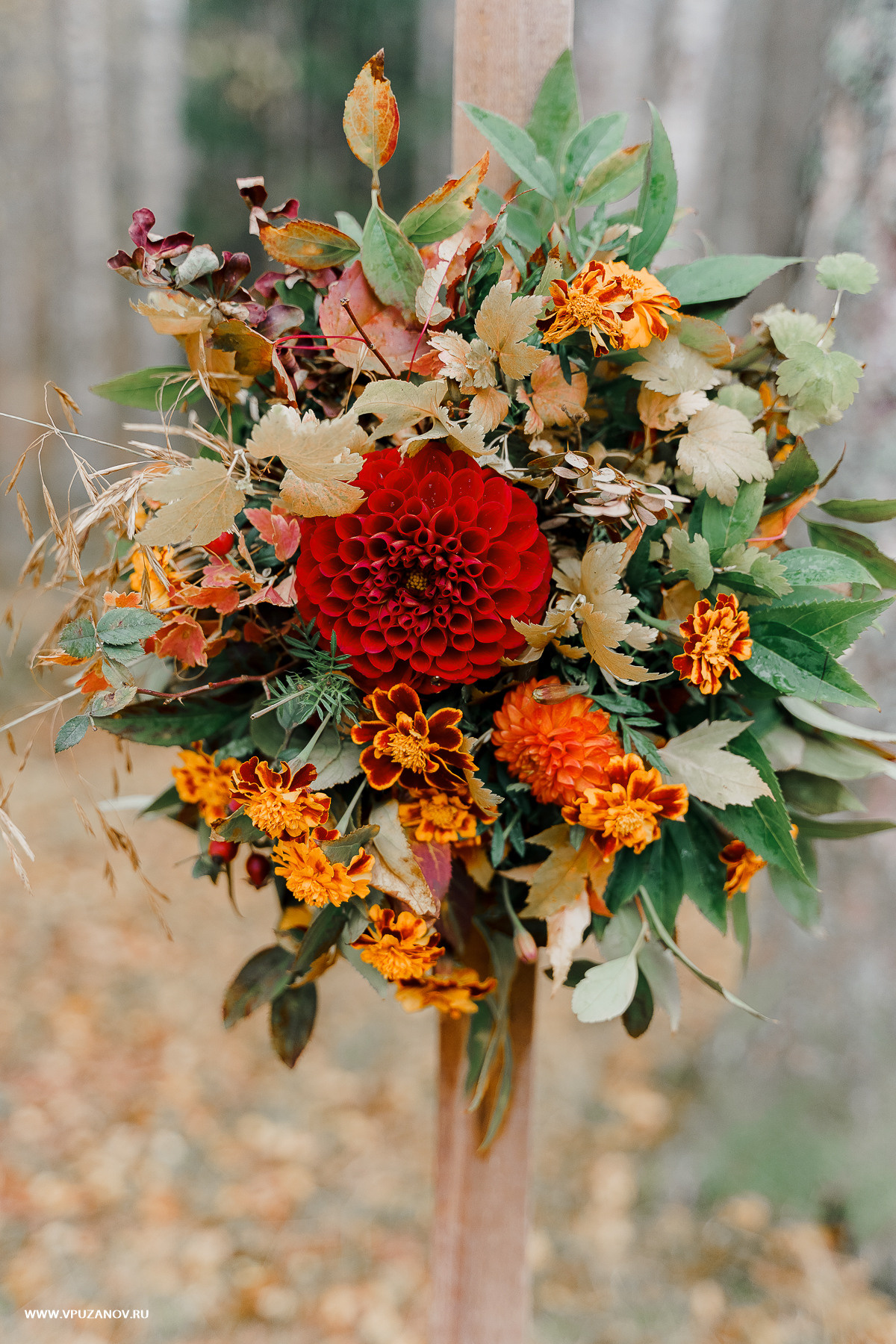 Свадебная фотосъемка, свадьба, свадебный фотограф, фотограф видеограф