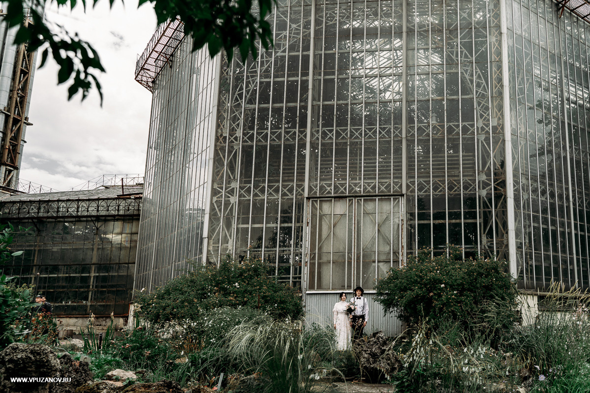 Свадебная фотосъемка, видео, свадебный фотограф, фотограф видеограф