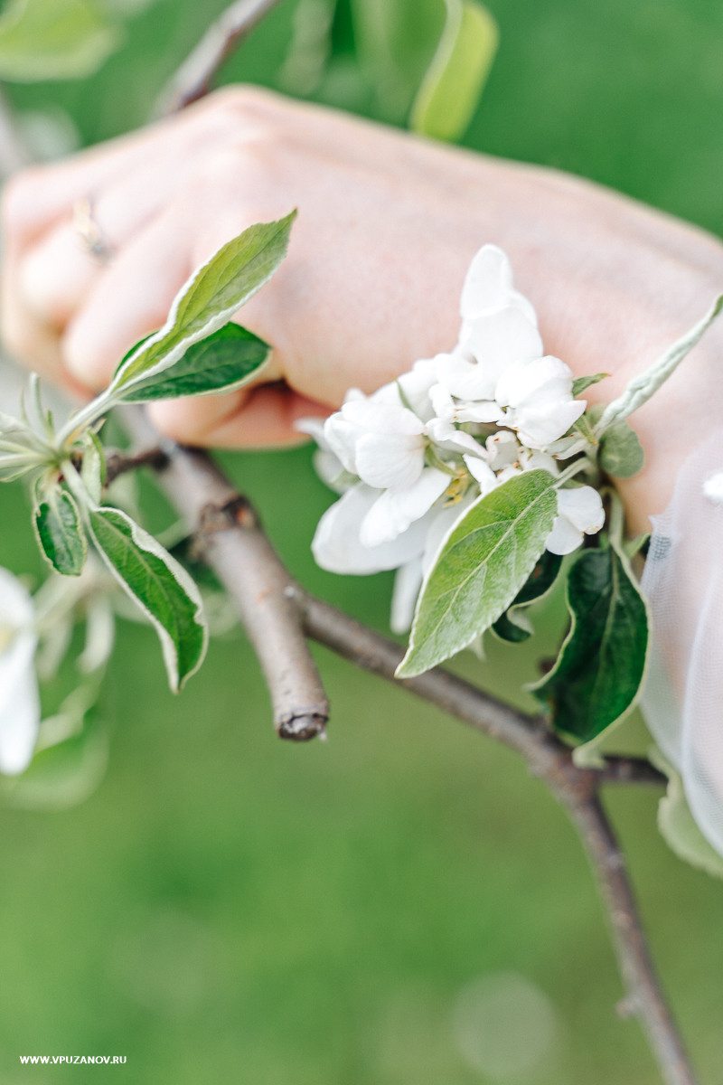 Свадебная фотосъемка, свадьба, свадебный фотограф, фотограф видеограф