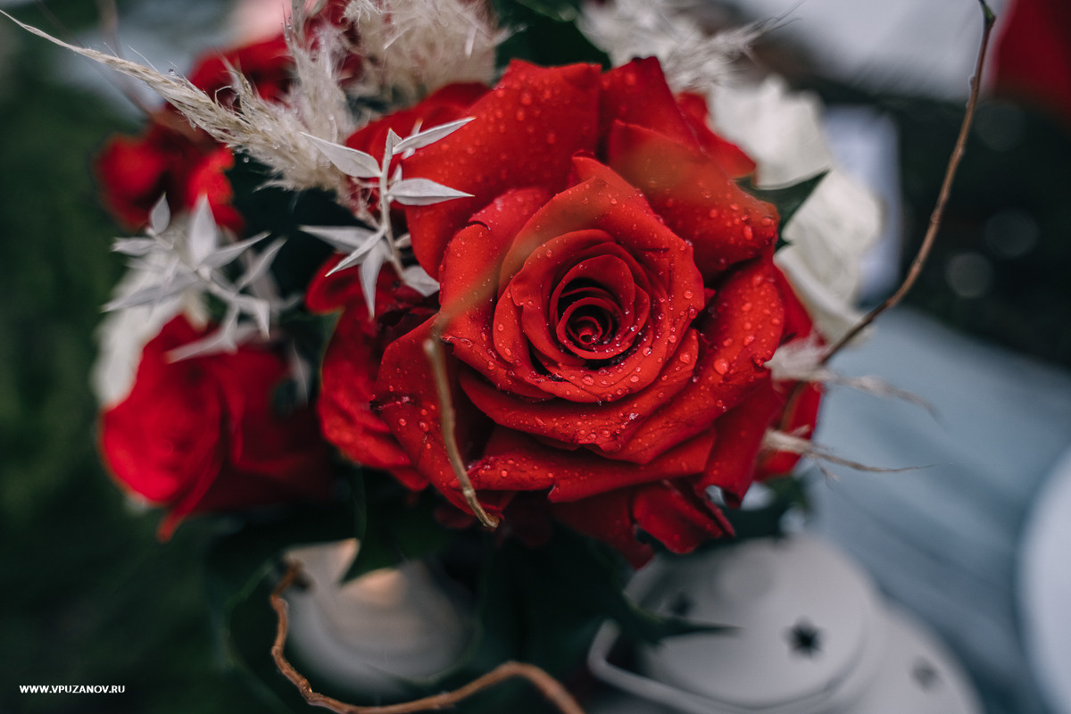 Свадебная фотосъемка, свадьба, свадебный фотограф, фотограф видеограф