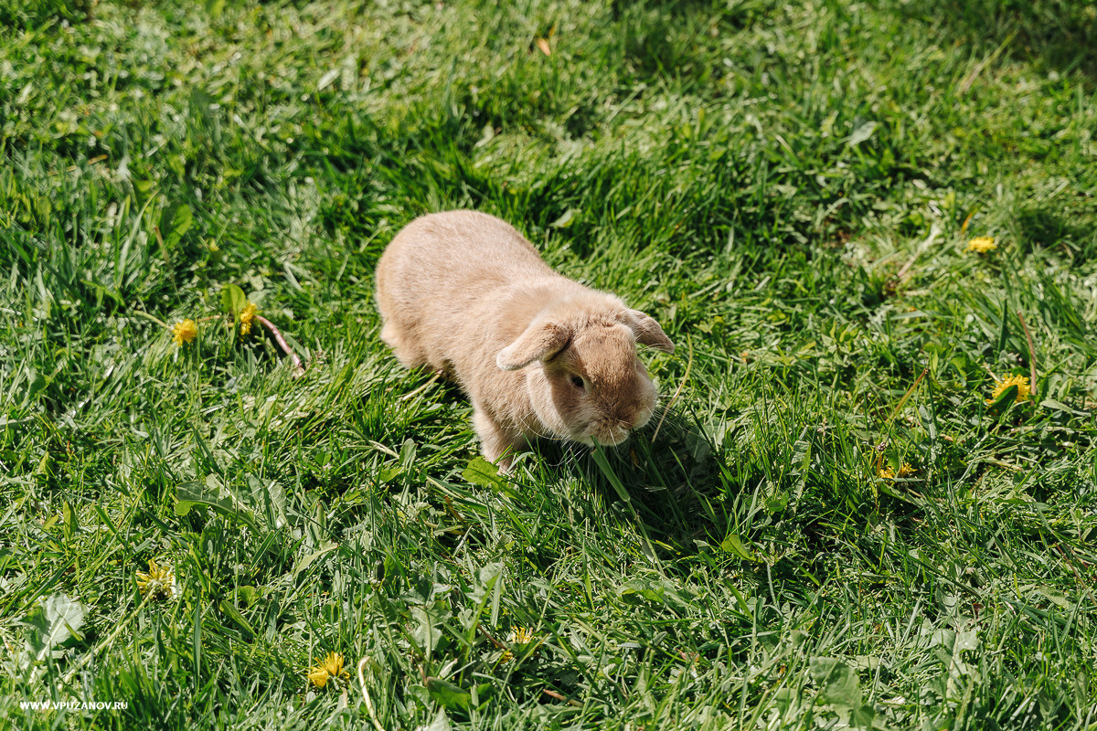 Свадебная фотосъемка, свадьба, свадебный фотограф, фотограф видеограф
