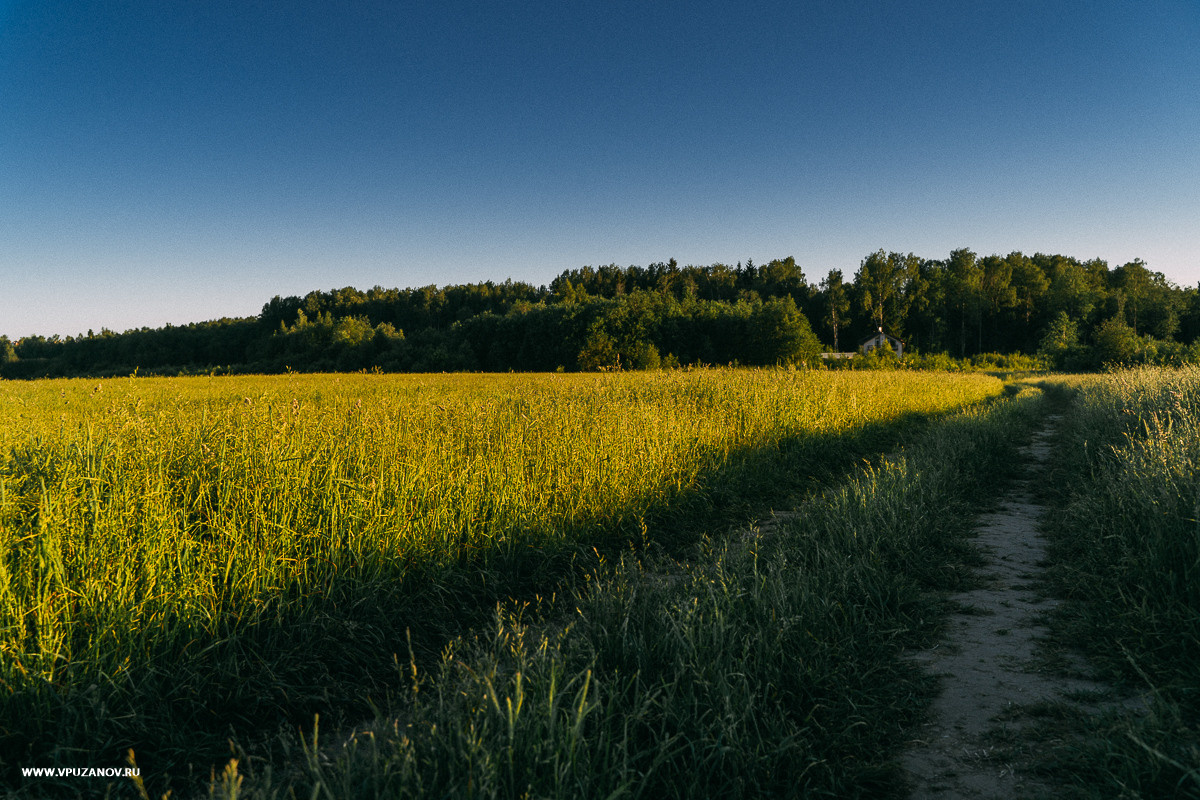 Свадебная фотосъемка, свадьба, свадебный фотограф, фотограф видеограф